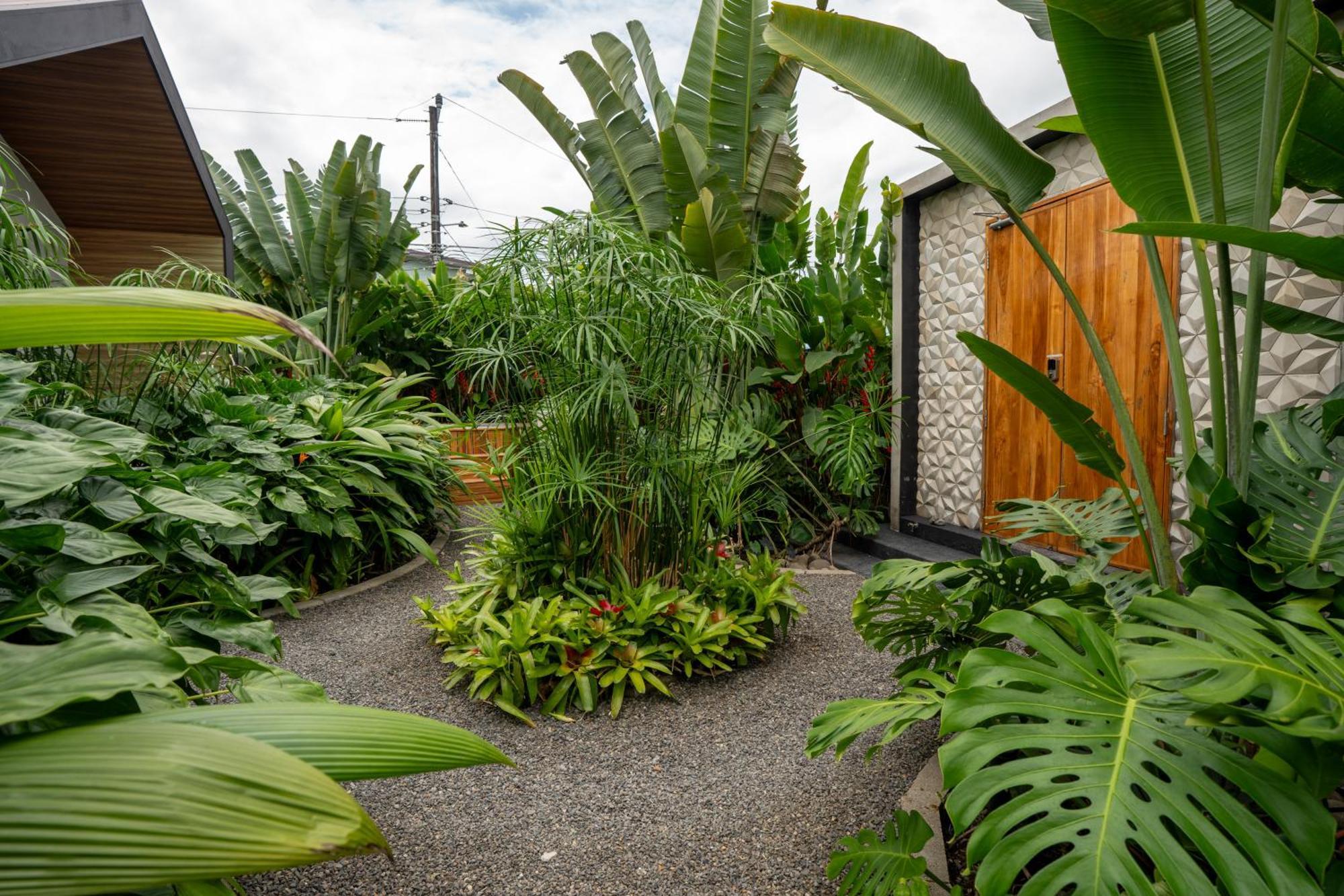 Suwa Villa Arenal La Fortuna Exteriér fotografie