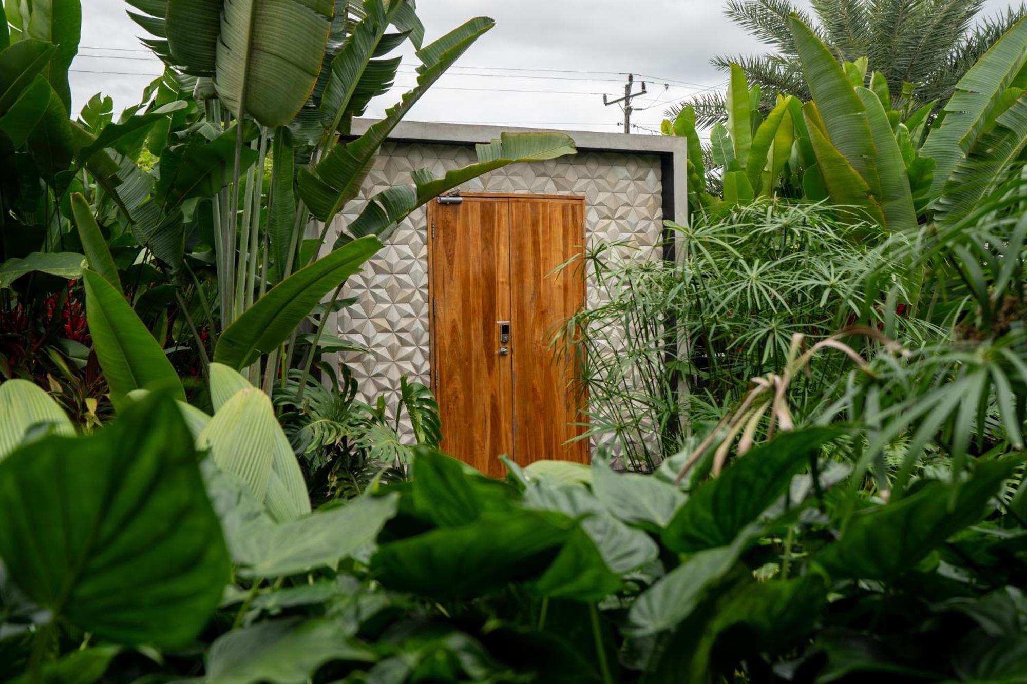Suwa Villa Arenal La Fortuna Exteriér fotografie