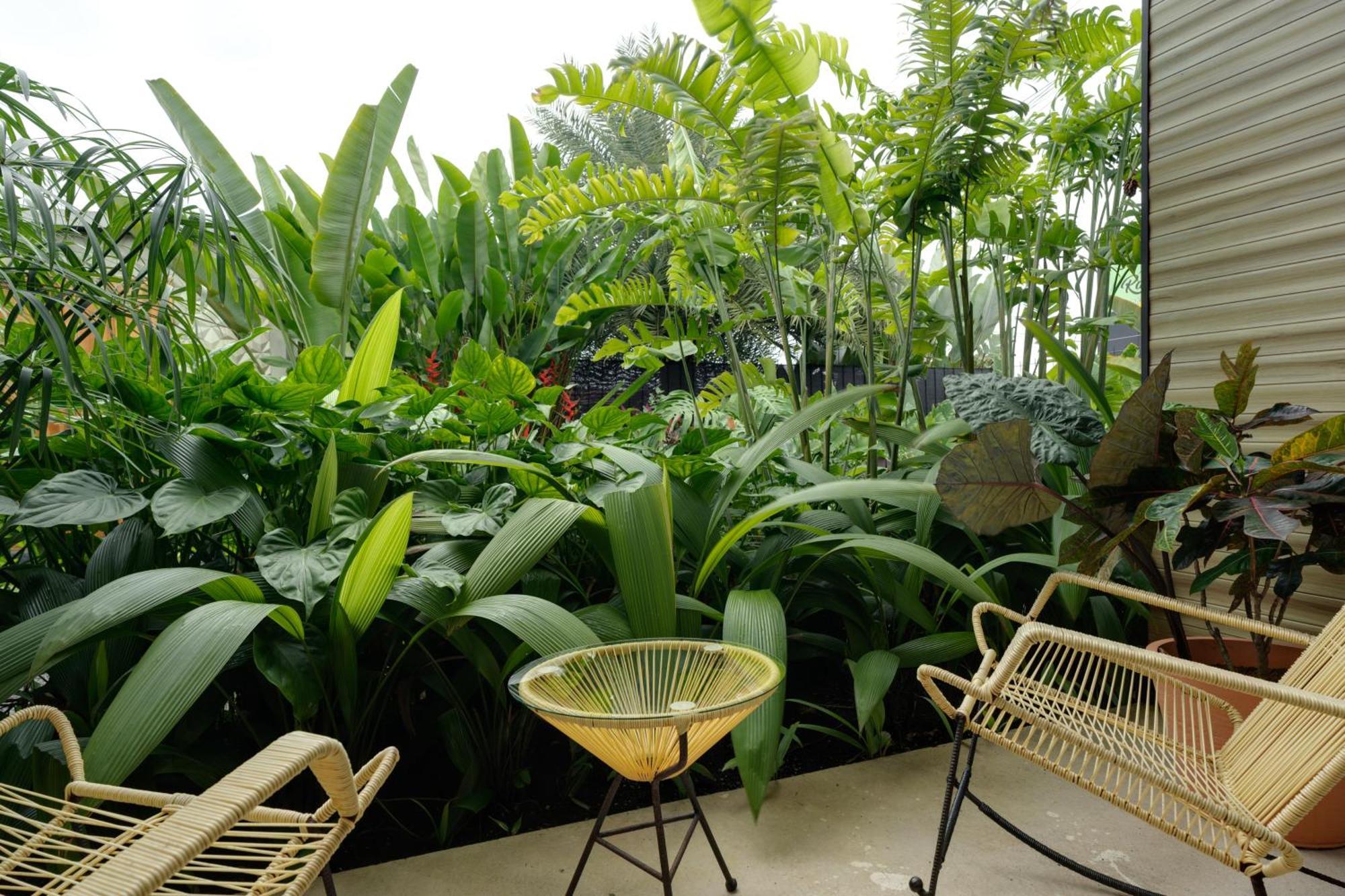 Suwa Villa Arenal La Fortuna Exteriér fotografie